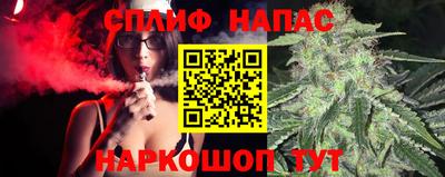apvp Нальчик