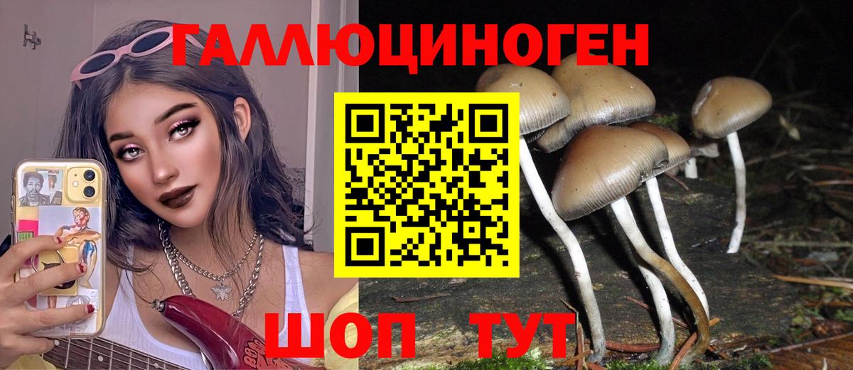 Псилоцибиновые грибы мухоморы Тулун