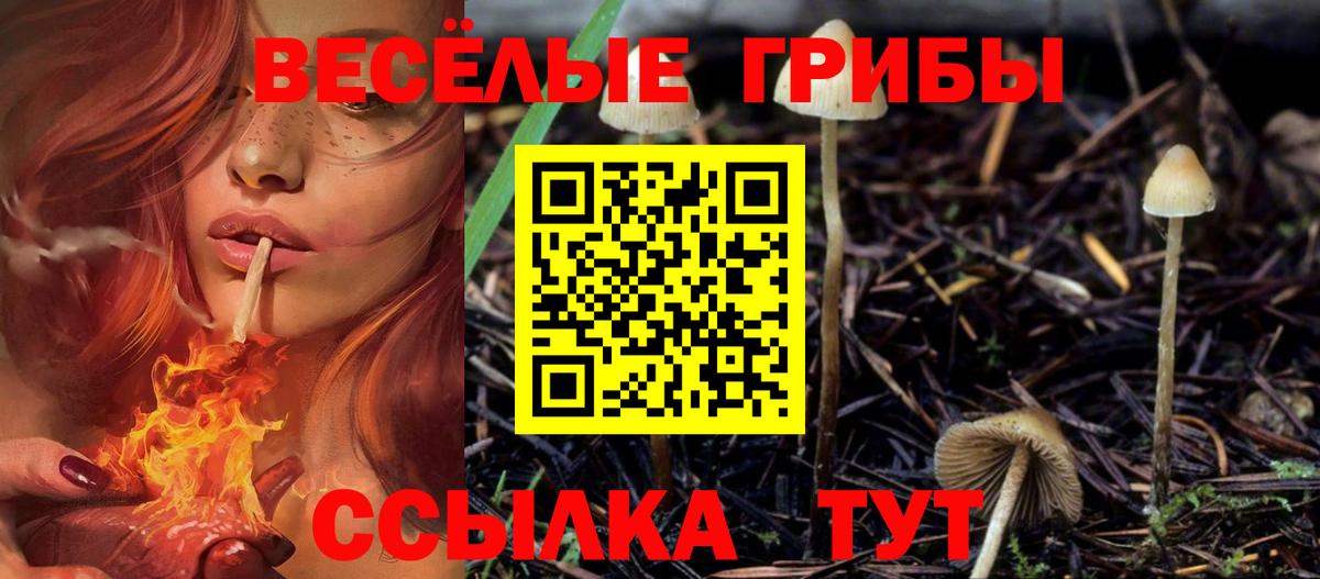 Галлюциногенные грибы Psilocybine cubensis  Вход с VPN  Тулун  Галлюциногенные грибы GOLDEN TEACHER 